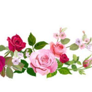 Meet your Posher, Sherry